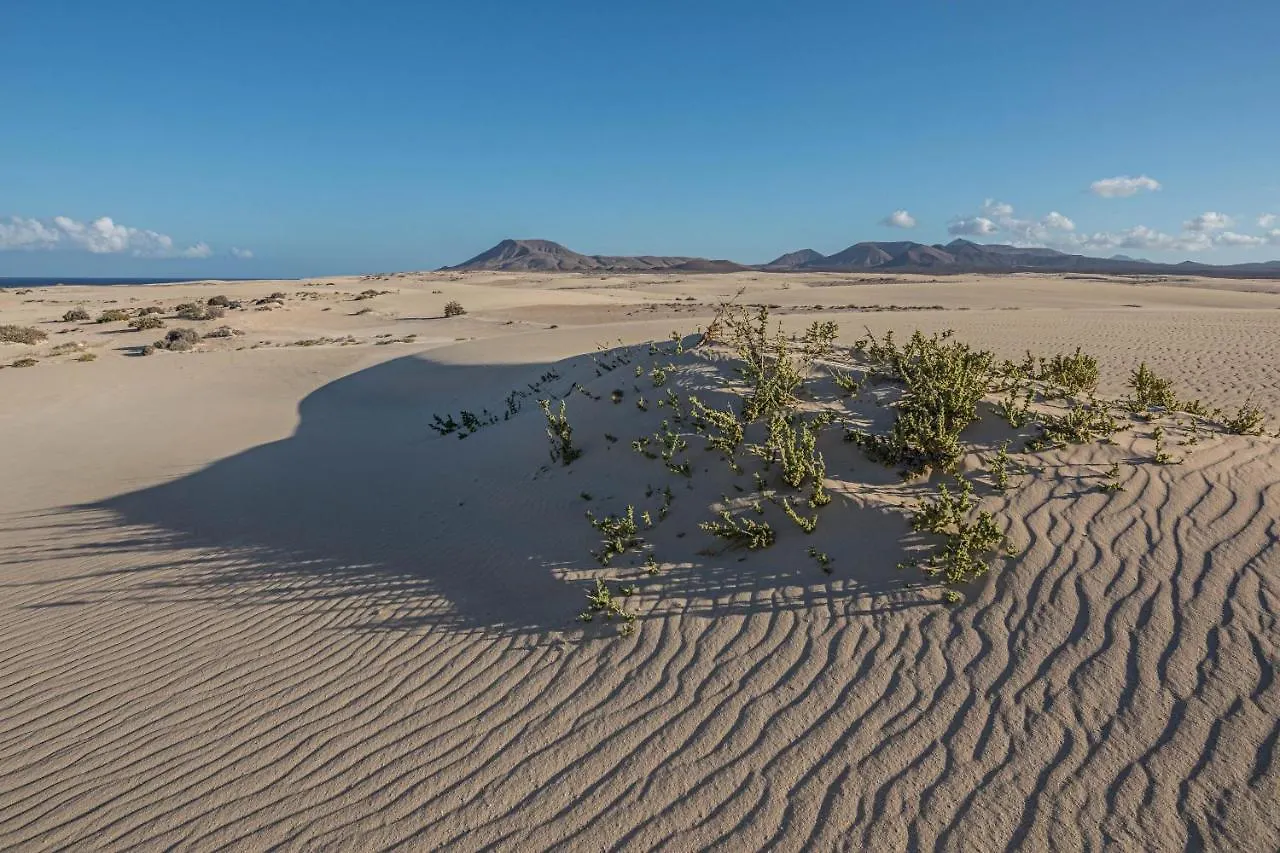 Villa Orquidea Corralejo